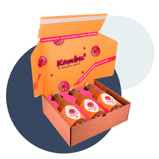 Boîte d'expédition B2C pour bouteilles de kombucha