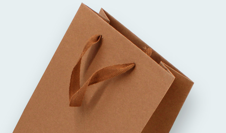 sac papier kraft brun pour 2 bouteilles 75cl