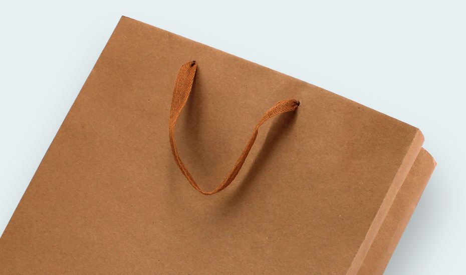 sac papier kraft brun pour 3 bouteilles 75cl